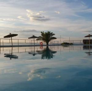 una piscina de agua con una palmera y sombrillas en Alojamiento rural la Bellosina, en Cabezabellosa