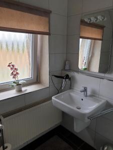 ヘルフォルトにあるTaubenparadies Iのバスルーム(洗面台、窓付)