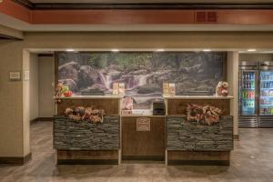 Vstupní hala nebo recepce v ubytování La Quinta by Wyndham Pigeon Forge + 37 fotografií