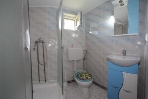 Ett badrum på Pensiunea Anisoara
