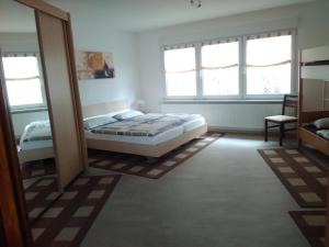 ein Schlafzimmer mit einem Bett und zwei Fenstern in der Unterkunft Ferienwohnung Menzel in Gedern