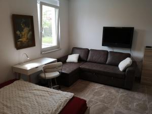 a living room with a couch and a television at Homestay Free Park&Bikes in Ljubljana