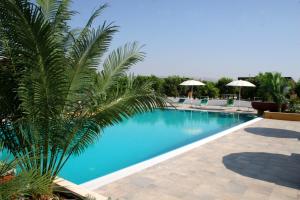 une piscine avec un palmier en face de celle-ci dans l'établissement Terra Dei Limoni, à Noto Marina