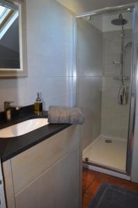 a bathroom with a sink and a shower at Le MAGNOLIA in La Croix-en-Touraine