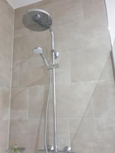 a shower with a shower head in a bathroom at Villa Ferialis in Xanten +22 photos