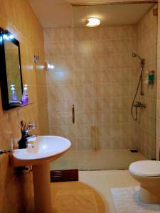 a bathroom with a sink and a shower and a toilet at 36 Bed & Breakfast in Kandy