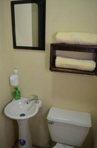 a bathroom with a toilet and a sink and a mirror at #4 Private room close to Airport in Alajuela