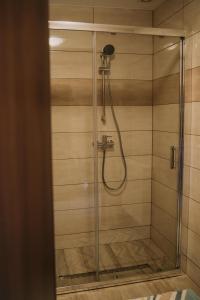 a shower stall with a glass door in a bathroom at Apartament we Wsi in Chochołów