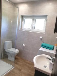 La salle de bains est pourvue de toilettes, d'un lavabo et d'une douche. dans l'établissement Leśny Apartament, à Szczytno