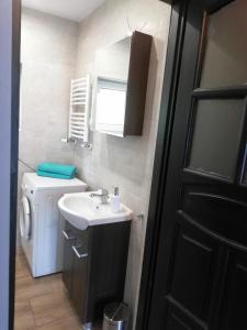 a bathroom with a sink and a washing machine at Leśny Apartament in Szczytno