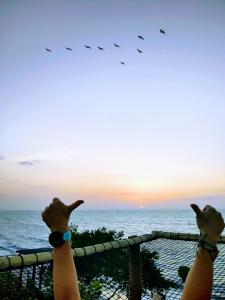 eine Person, die auf das Meer zeigt, mit Vögeln am Himmel in der Unterkunft Playa Kai Glamping in La Punta de los Remedios