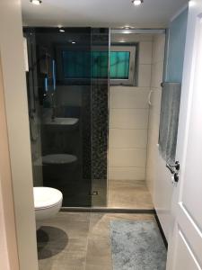 een badkamer met een douche, een toilet en een wastafel bij Ferienwohnung am Hörnle in Bad Kohlgrub