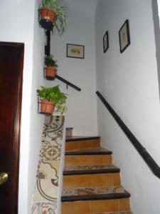 Fotografia z galérie ubytovania La Casita de Celia v Alicante