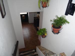Fotografia z galérie ubytovania La Casita de Celia v Alicante