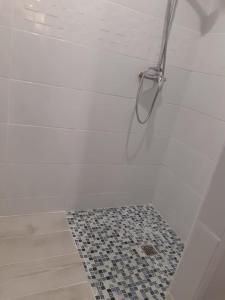 a bathroom with a shower with a tile floor at Nid douillet au centre ville in Épinal