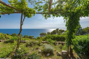 a view of the ocean from a garden at Il Carrubo Capri in Anacapri