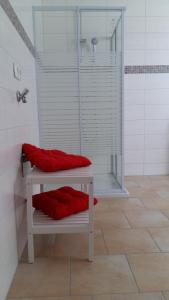 um chuveiro com almofadas vermelhas num banco na casa de banho em Ferienwohnung Giovanni em Schwandorf