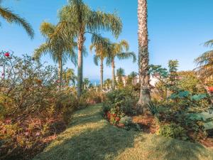 a path through a garden with palm trees at Ocean Gardens in Funchal