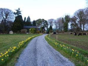 Priroda u blizini of the country house