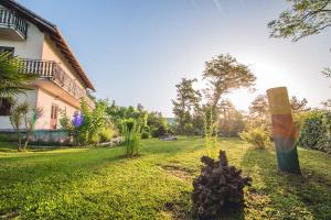 ein Hof mit einem Haus und einigen Bäumen und einem Hof sidx sidx in der Unterkunft Farm stay Synergia - Hiden treasure in Pazin