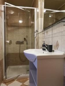 a bathroom with a sink and a shower at Apartmán Staňkov in Staňkov