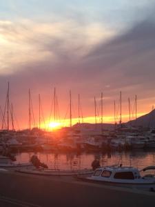 a group of boats docked in a marina at sunset at Apartment Klara in Bar