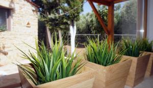 A garden outside Studio Panagiota - Oasis holiday houses