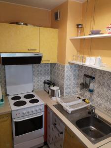 uma cozinha com um fogão e um lavatório em Appartment Leo em Schönwald
