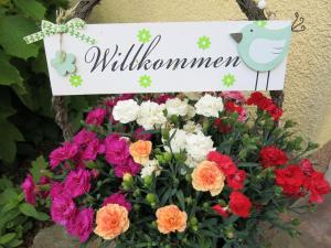 a sign in a flower pot with flowers at Schölzke‘s Ferienhaus in Ralswiek