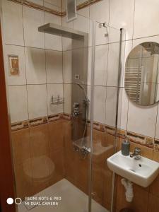 W łazience znajduje się prysznic i umywalka. w obiekcie Apartament Briesen w mieście Wąbrzeźno