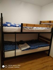 kilka łóżek piętrowych w pokoju w obiekcie Apartament Briesen w mieście Wąbrzeźno