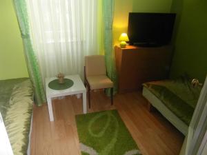 um pequeno quarto com uma cama, uma televisão e uma cadeira em Apartament Dobra nocka em Krynica-Zdrój