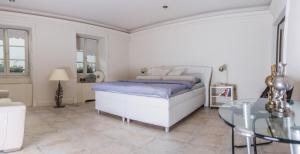 Zdjęcie z galerii obiektu President Boutique Apartment II w mieście Brno