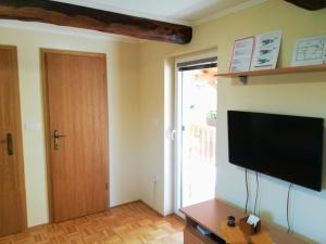 TV a/nebo společenská místnost v ubytování Apartma Škrilje