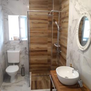 a bathroom with a toilet and a sink and a mirror at Plitvice Valley Apartments in Ličko Petrovo Selo +57 photos