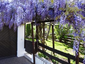 Κήπος έξω από το Ferienwohnung Pickert