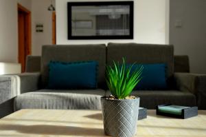 a potted plant sitting on a table in front of a couch at Casa al mare Anastasia in Nea Kallikrateia