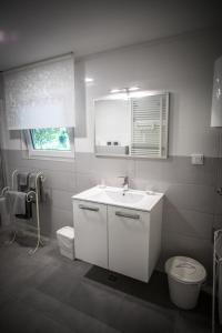 uma casa de banho com um lavatório branco e um WC. em Apartman Magnolia em Ivanic-Grad