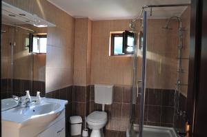 a bathroom with a sink and a toilet and a shower at Casa din Livada in Predeluţ