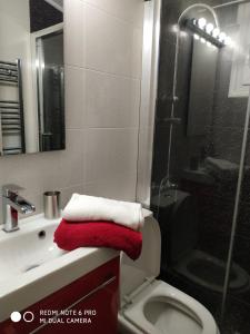 ein Bad mit einem roten Handtuch auf dem WC in der Unterkunft LAVIM Apartments 2 in Sykia + 39 Fotos