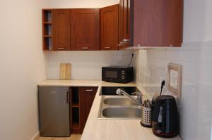 a kitchen with a sink and a microwave at Salve Regina in Sandomierz