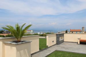 Eine Pflanze in einem Topf auf dem Dach eines Hauses in der Unterkunft Villa Martina Luxury Rooms in Desenzano del Garda