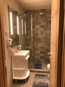 Bagno di Apartman Dragisic Kalman J15,D8