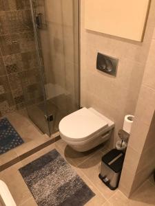 Bagno di Apartman Dragisic Kalman J15,D8
