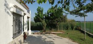 Κήπος έξω από το Casa Rous-Riumar 1