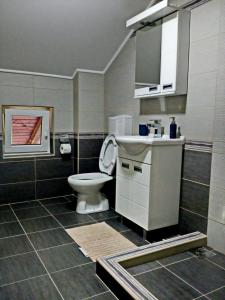 a bathroom with a toilet and a sink at Guest House Stankovic in Soko Banja