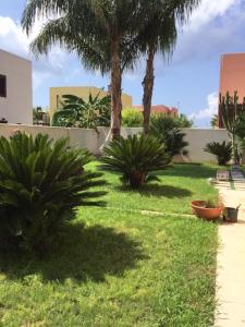 une cour avec des palmiers, de l'herbe et une clôture dans l'établissement Villa Favignana, à Favignana