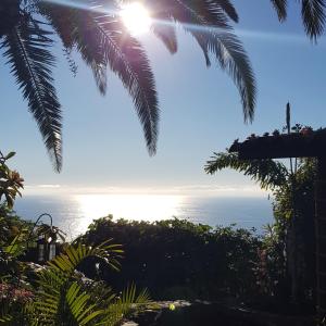 Príroda v okolí chaty v prírode
