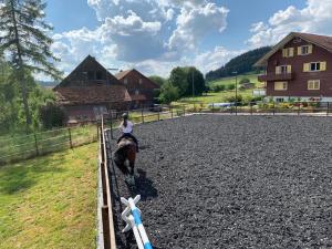 una persona montando un caballo sobre una valla en Villa Kunterbunt en Grosswangen