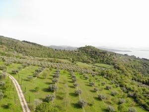 an aerial view of a green field with trees at Agriturismo Panorama sul Lago in Passignano sul Trasimeno